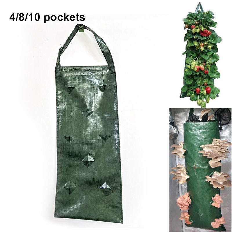 Vertical Wall Planter - 4 8 10 tasche appeso a