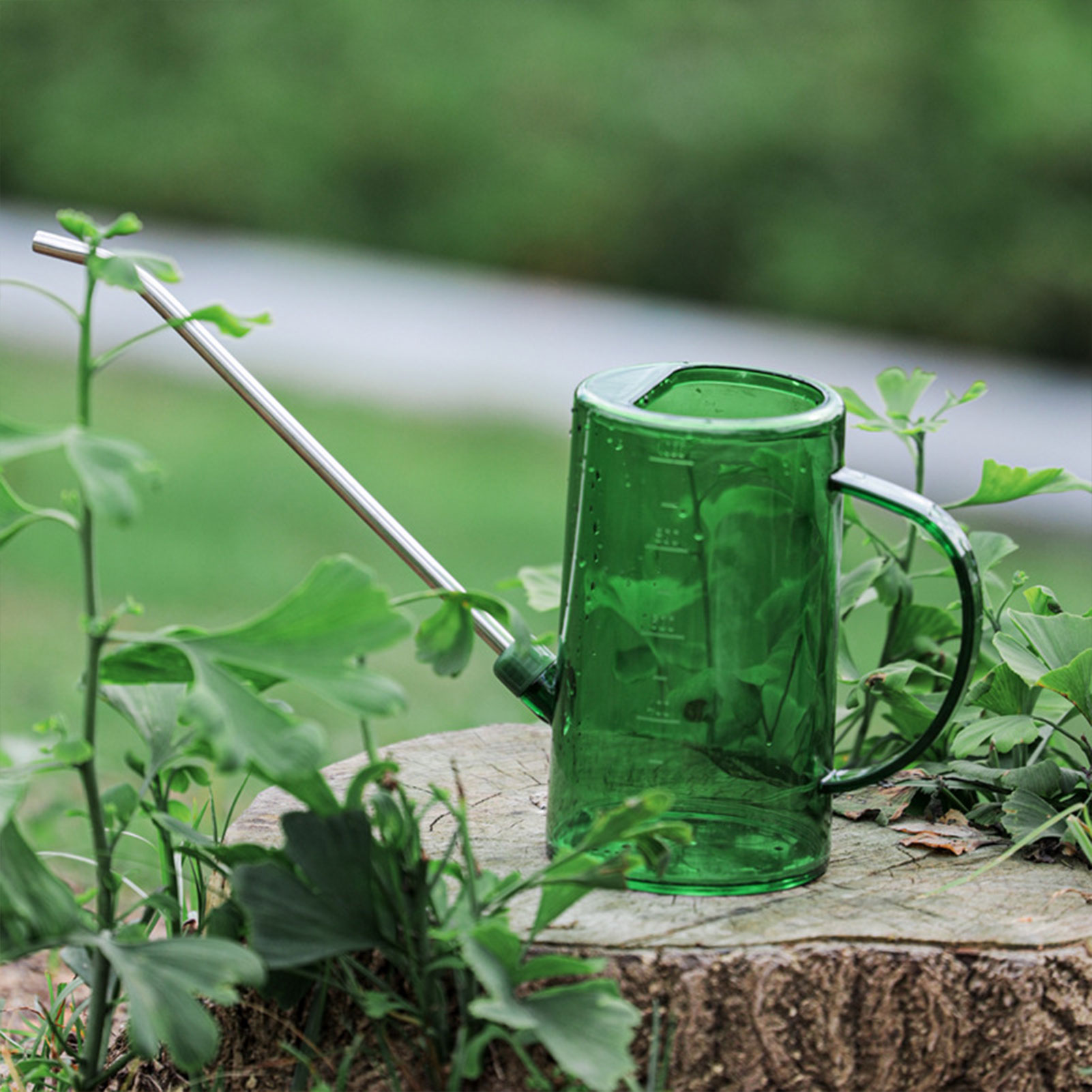 Watering Can Long Spout - Annaffiatoio per Piante da Interno 1L/1,5L
