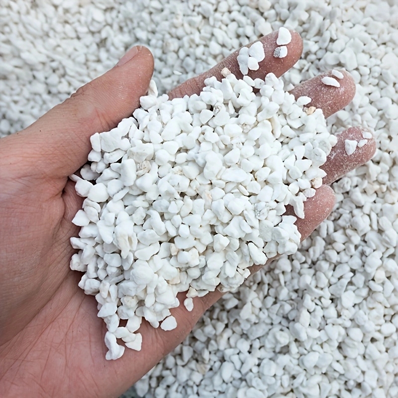 Gardening Tools Brands - 1 Confezione di Perlite Orticola da