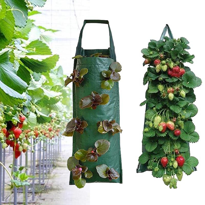 4 8 10 tasche appeso a parete  - Vertical Wall Planter recensione e prezzo