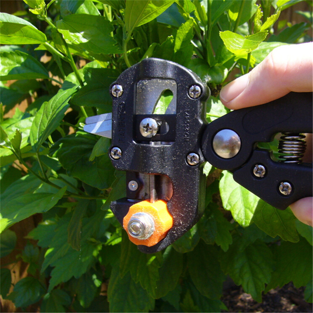 Forbici da Innesto Multifunzio - Gardening Tools Gift Set recensione e prezzo