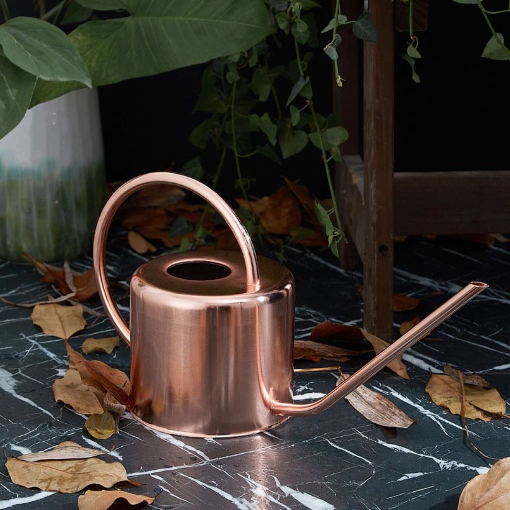 Annaffiatoio da 1,3L in Acciai - Watering Can Long Spout recensione e prezzo