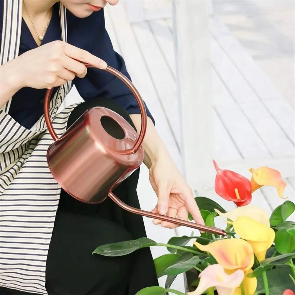 Annaffiatoio da 1,3L in Acciai - Watering Can Long Spout recensione e prezzo