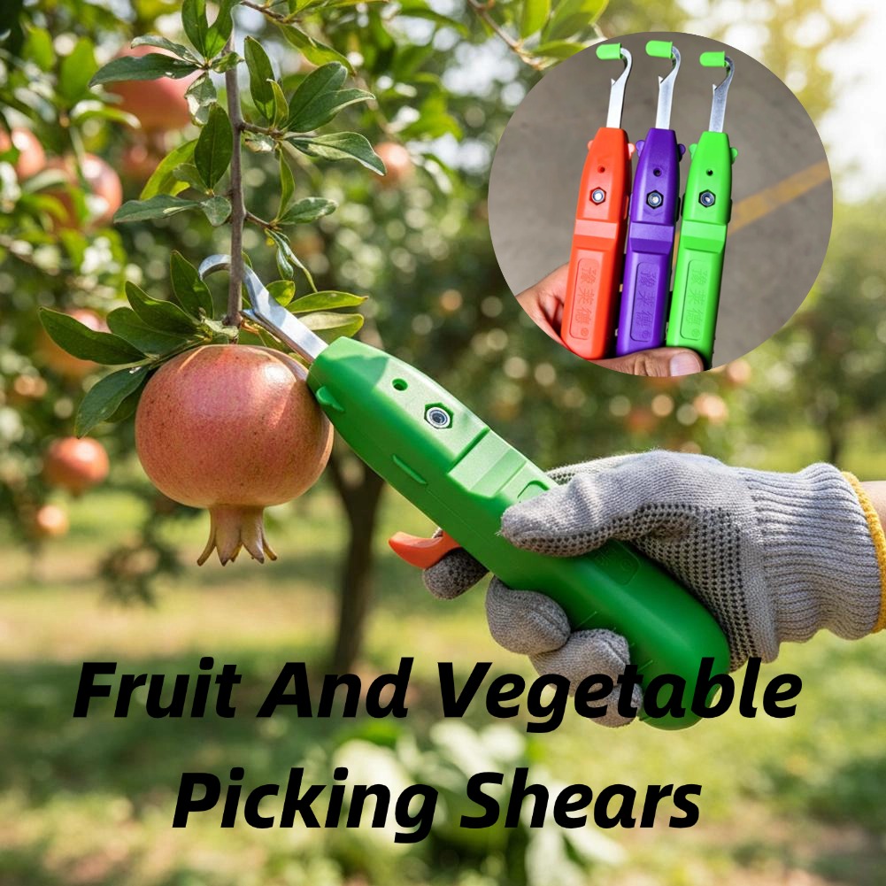 Forbici per la Raccolta di Fru - Gardening Tools Usa recensione e prezzo
