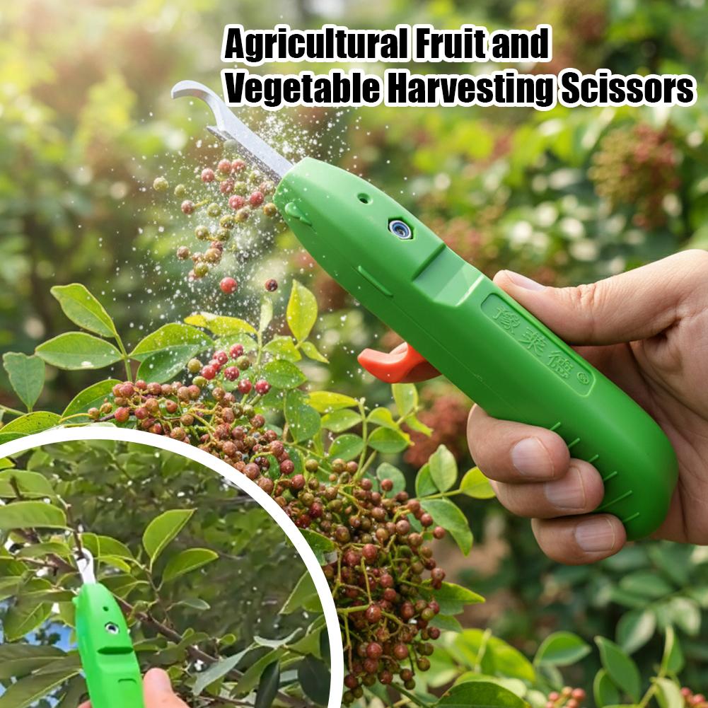 Forbici per la Raccolta di Fru - Gardening Tools Usa recensione e prezzo