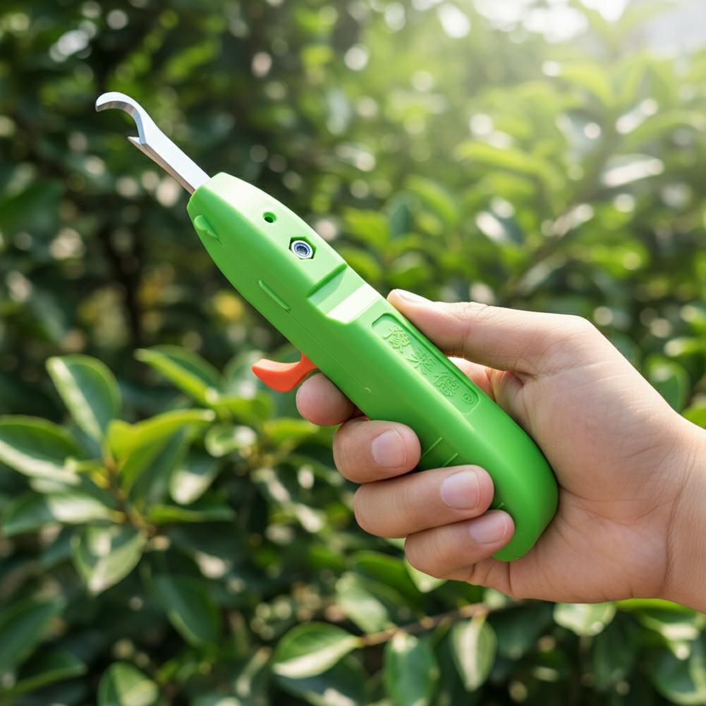Forbici per la Raccolta di Fru - Gardening Tools Usa recensione e prezzo