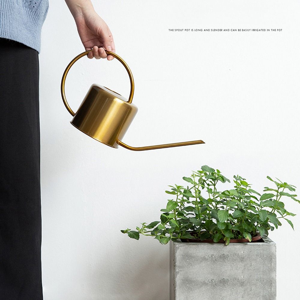 u Bollitore per piante da 1,3  - Watering Can Long Spout recensione e prezzo