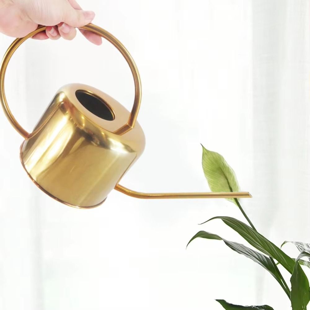 u Bollitore per piante da 1,3  - Watering Can Long Spout recensione e prezzo