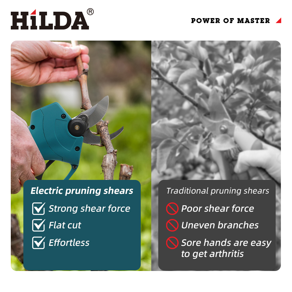 Forbici Elettriche Senza Fili  - Gardening Tools Usa recensione e prezzo