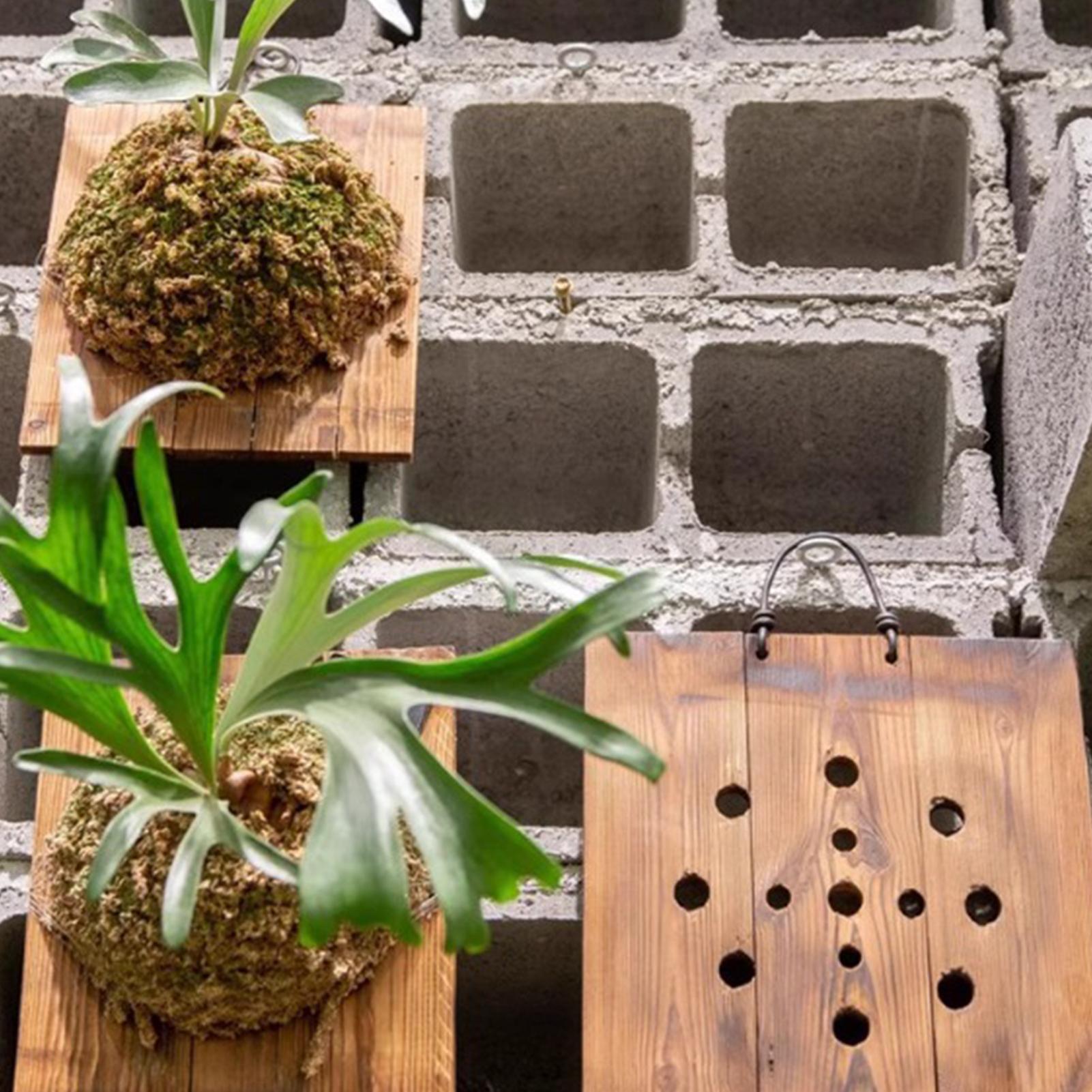 1 pz per interni in legno Stag - Vertical Wall Planter recensione e prezzo