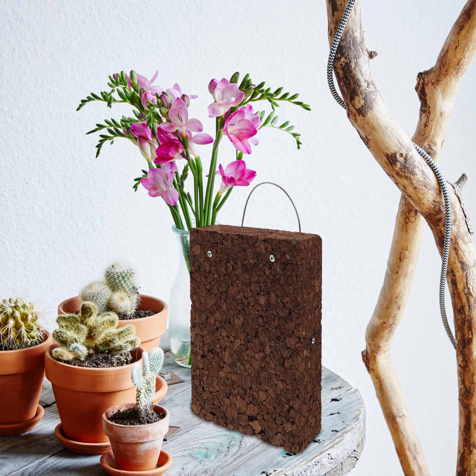 Pannello di Sughero Carbonizza - Vertical Wall Planter recensione e prezzo