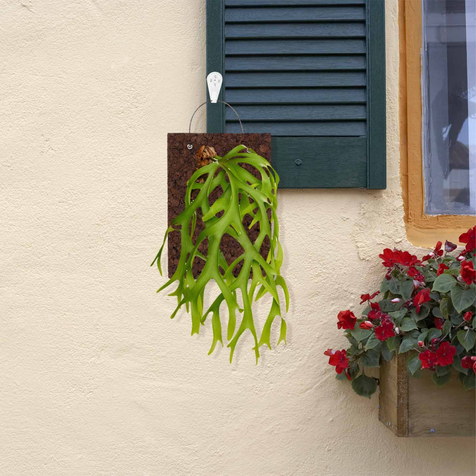 Pannello di Sughero Carbonizza - Vertical Wall Planter recensione e prezzo
