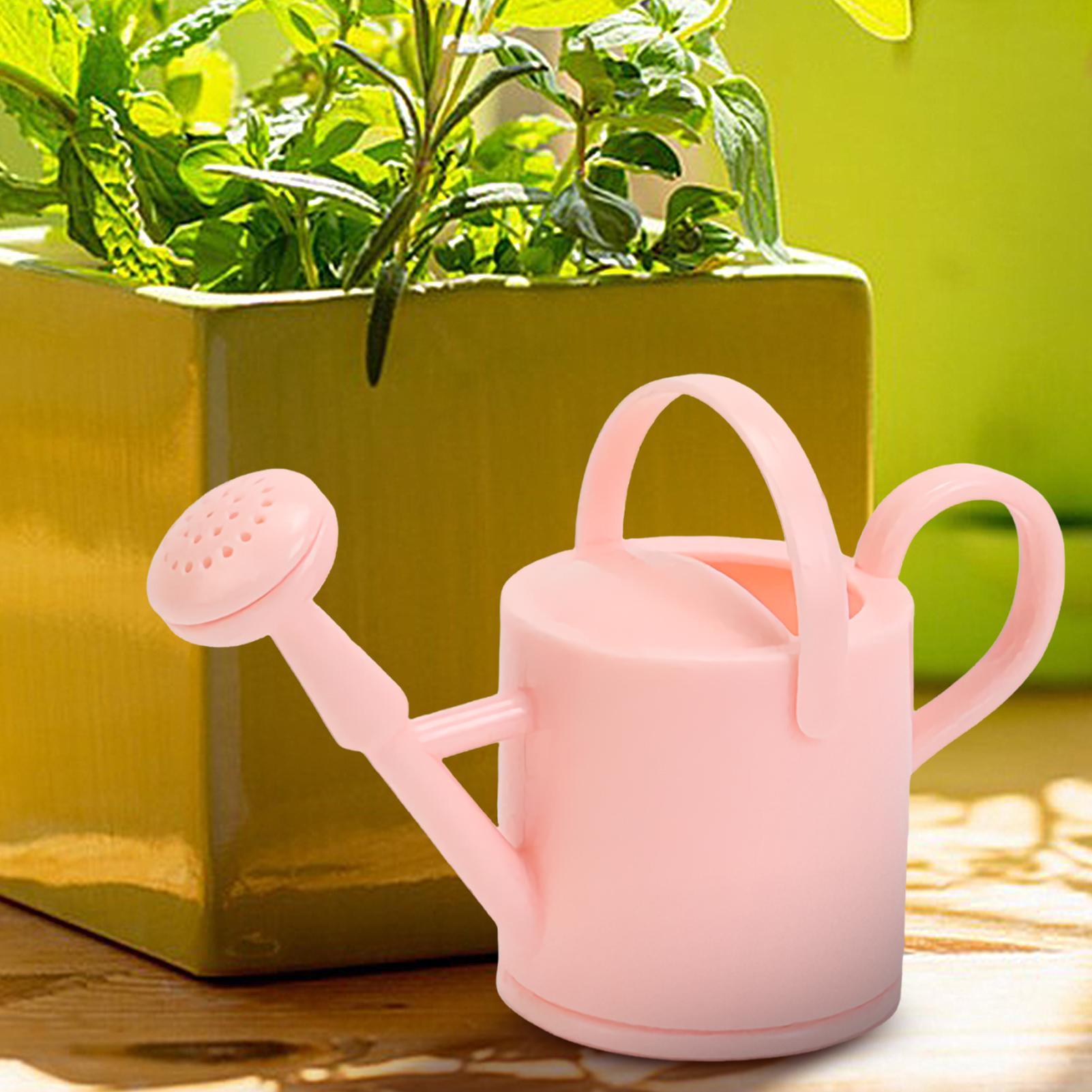 Piccolo annaffiatoio per bambi - Gardening Tools Box recensione e prezzo