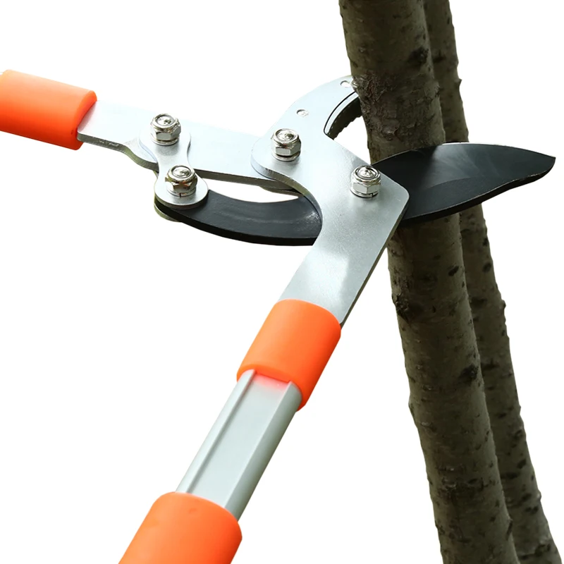 Forbici a lunga lunghezza Siep - Gardening Tools German recensione e prezzo