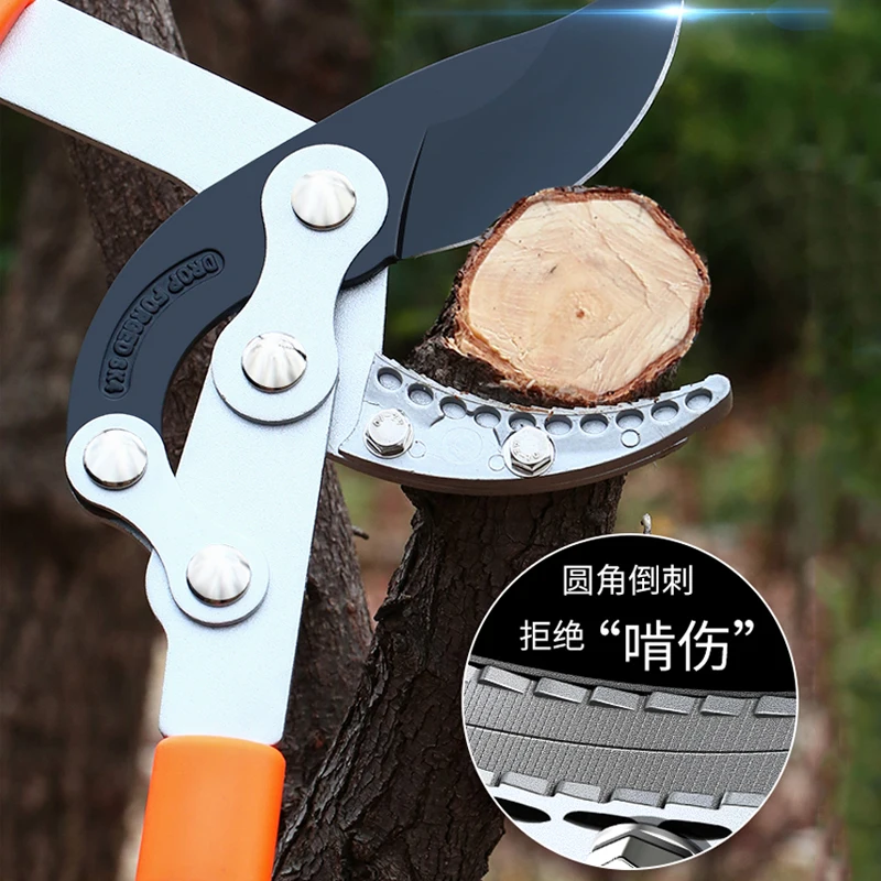 Forbici a lunga lunghezza Siep - Gardening Tools German recensione e prezzo