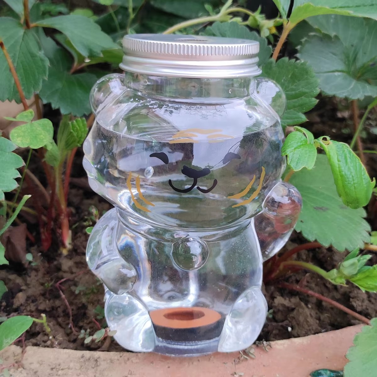 Dispositivo di irrigazione aut - Gardening Tools Box recensione e prezzo
