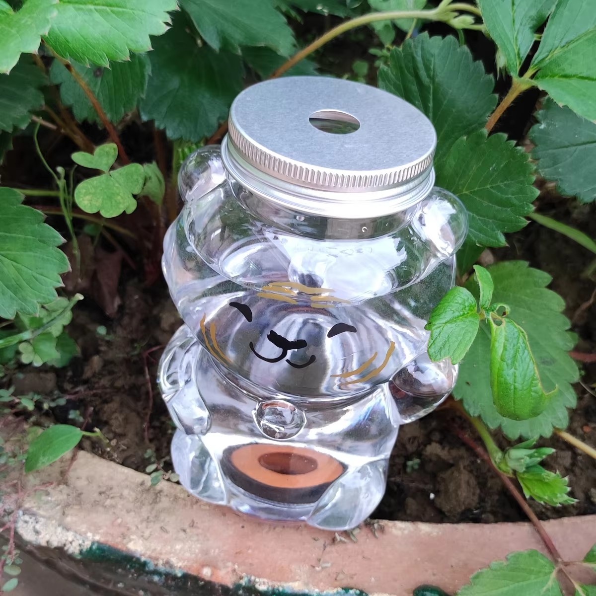 Dispositivo di irrigazione aut - Gardening Tools Box recensione e prezzo
