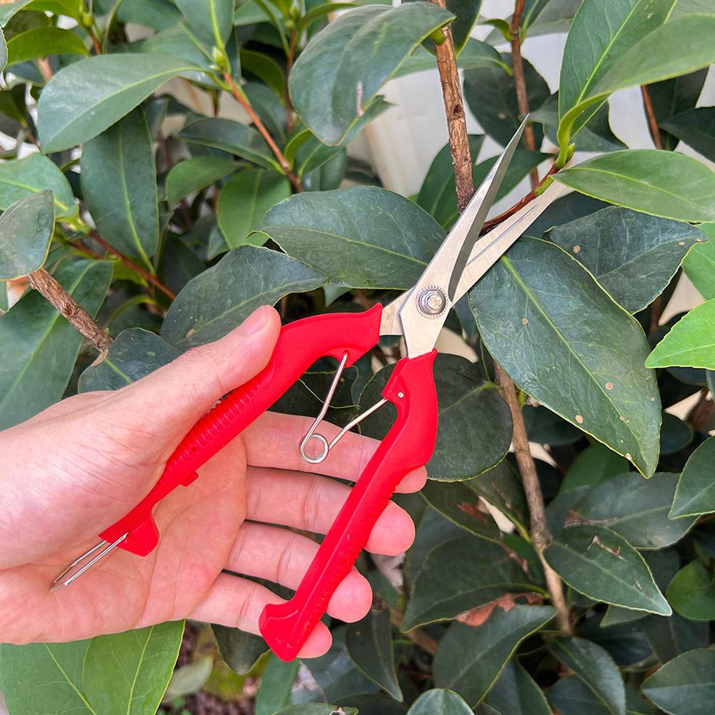 Forbici da Potatura Profession - Gardening Tools Usa recensione e prezzo