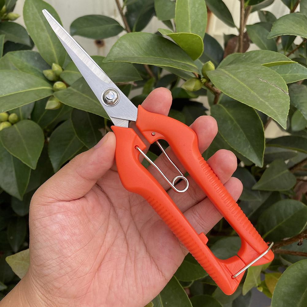 Forbici da Potatura Profession - Gardening Tools Usa recensione e prezzo