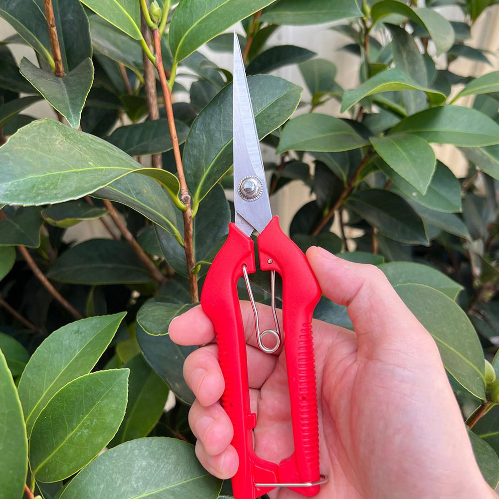Forbici da Potatura Profession - Gardening Tools Usa recensione e prezzo