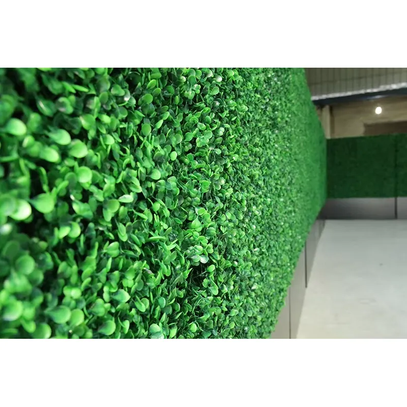 CQ-001 Pannello in PE per Giar - Vertical Wall Planter recensione e prezzo
