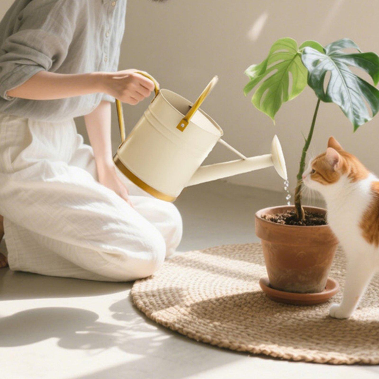 Annaffiatoio con beccuccio lun - Watering Can Long Spout recensione e prezzo
