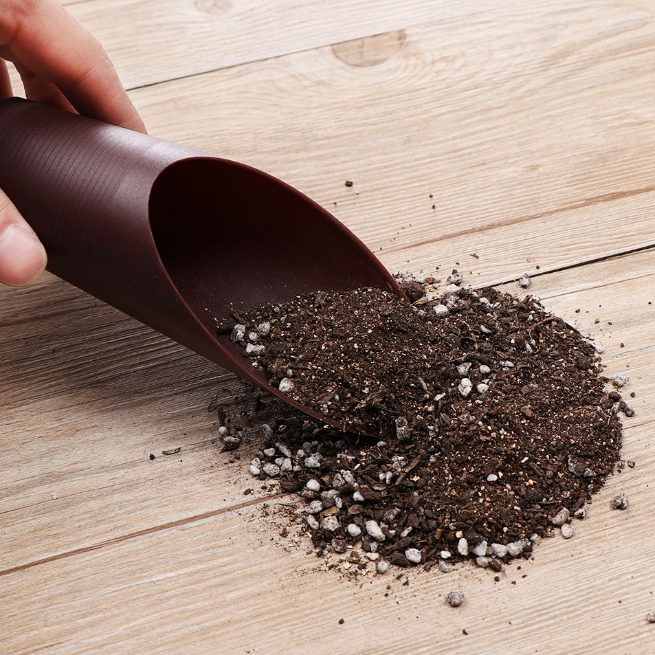 1 pz plastica terreno pala taz - Gardening Tools Brands recensione e prezzo